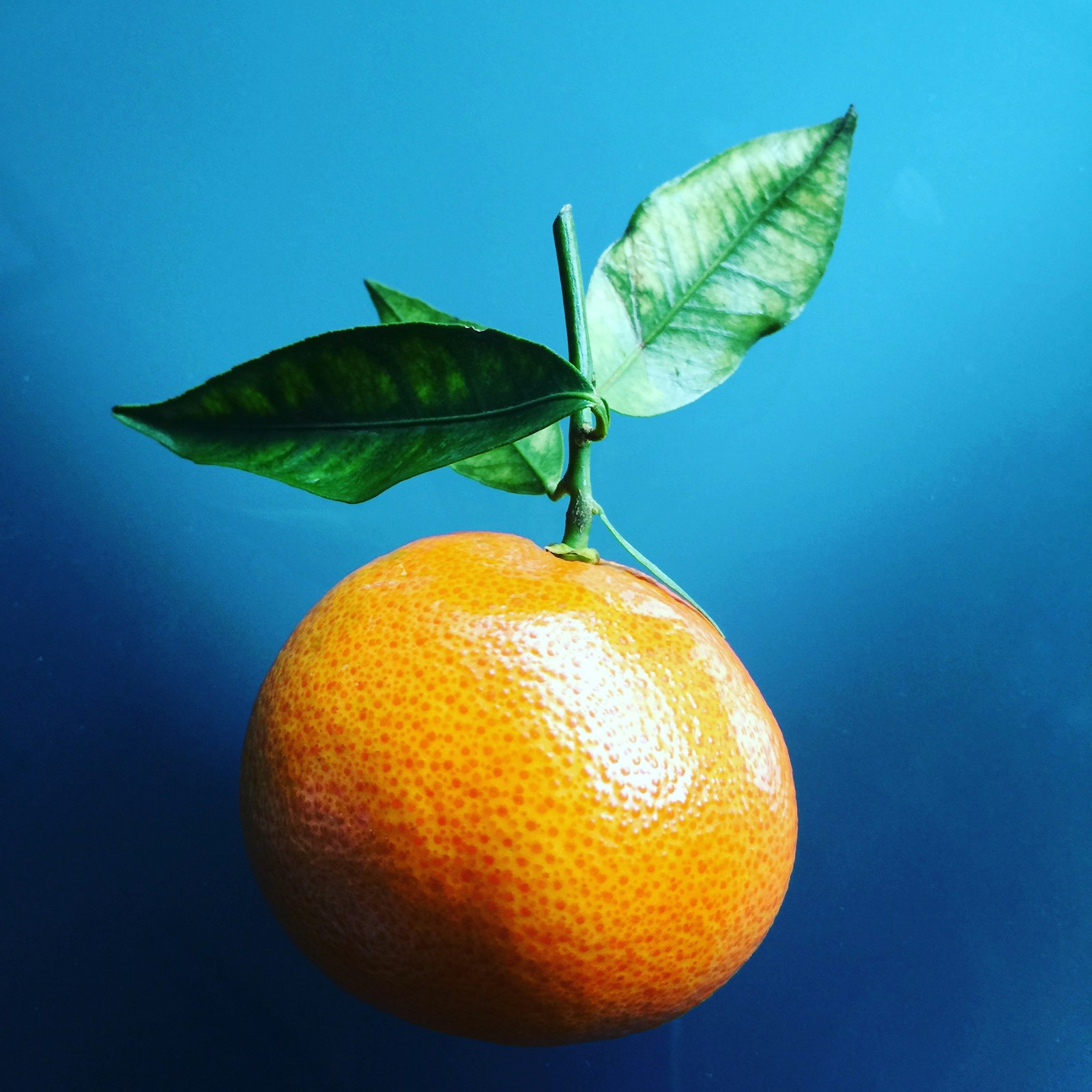 A whole orange, a halved orange and a curl of orange peel on a wooden board
