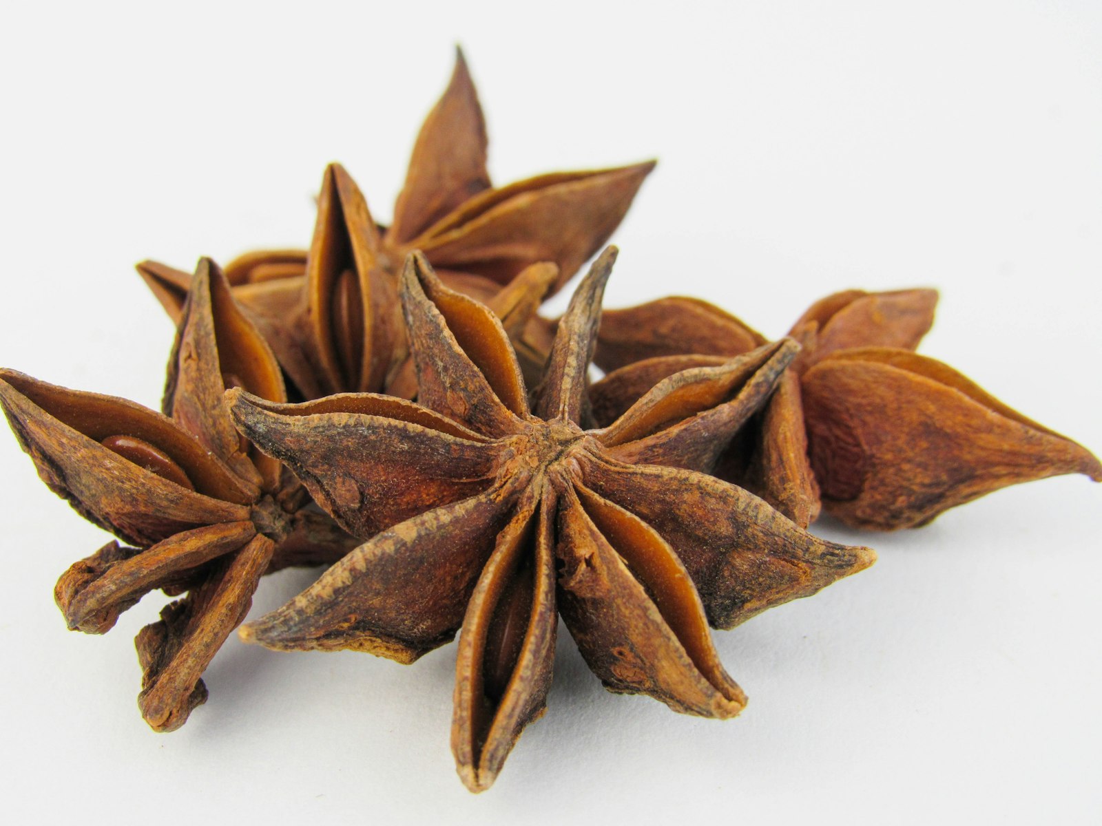 Star Anise as a winter cocktail ingredient
