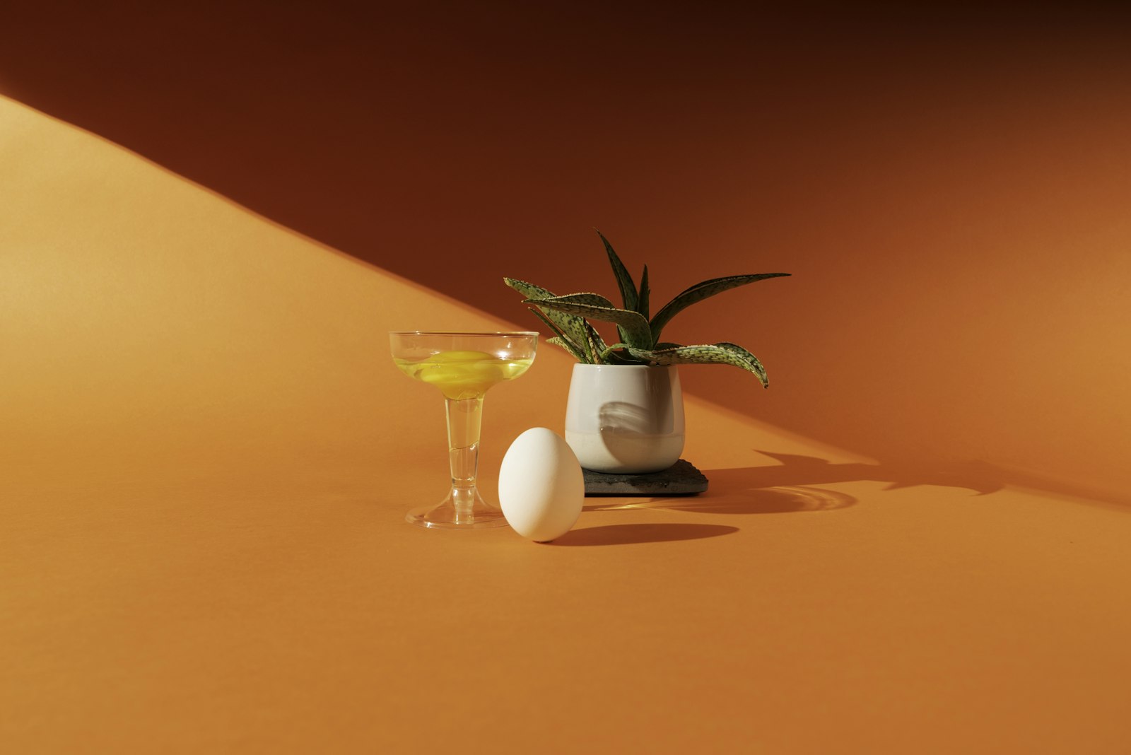 Nutmeg rum flip in a small wine glass with a thick foamy top and freshly grated nutmeg dusted across the surface.